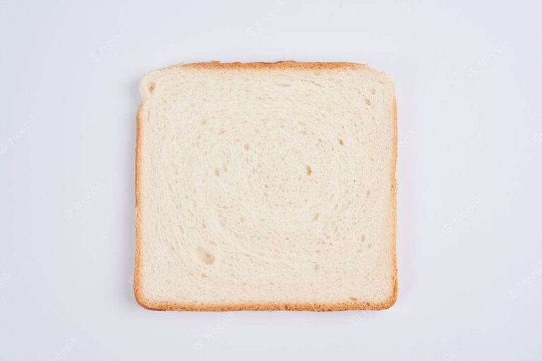 Growth of fungus on a slice of bread